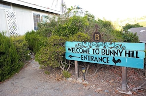Welcome to Bunny Hill!