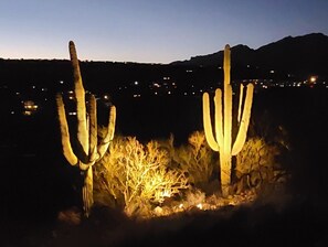 Evening View from the Private Patio