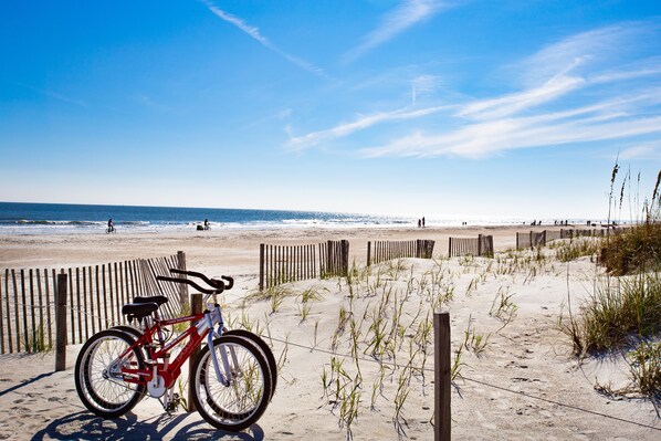 Strand