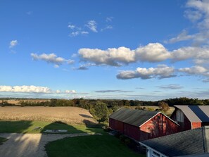 Some of the best views are from the upstairs!