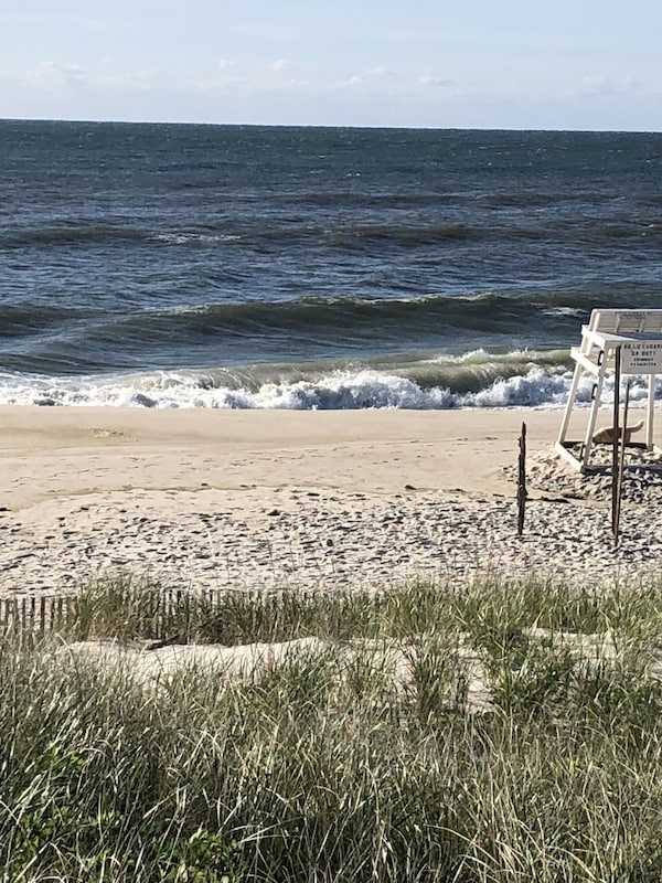 The most beautiful beaches in the northeast and the best surfing!
