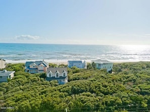 Aerial view; nestled in trees