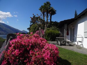 Eco-hous A