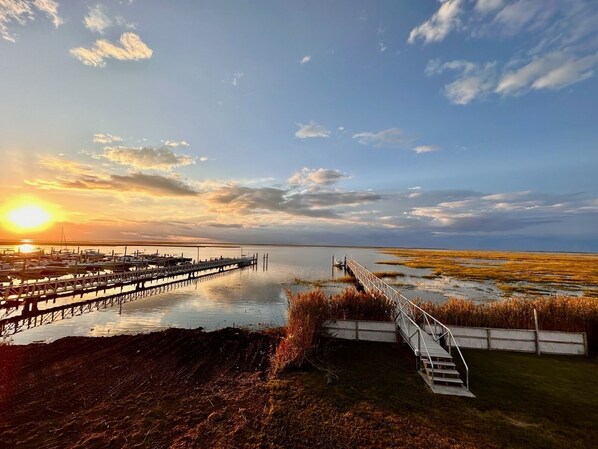 View from the back deck