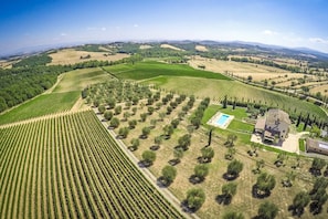 Scenic View, Summer