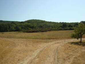 Vue en direction du Sud