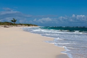 Buttonwood Reserve beach