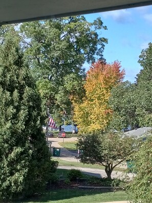 View of the lake and beach from the front window.