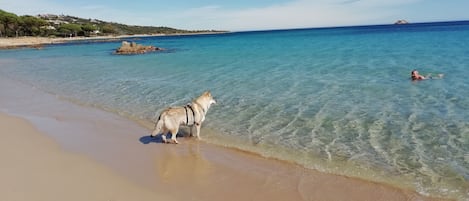 Spiaggia di Pinarello