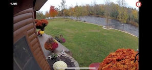 Front yard from Arlo cams