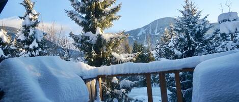 Upper Patio, beautiful, sweeping views to the mountains from the bedroom 