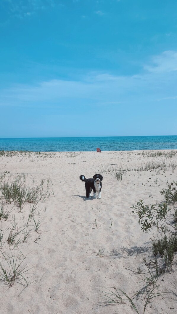 Plage