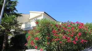 Exterior appearance