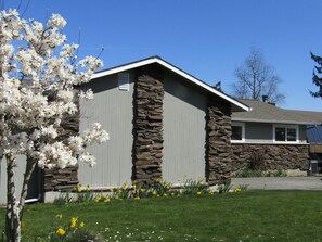 Front of house with Magnolia tree and daffodils.
