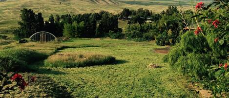 Kanehoa Property View