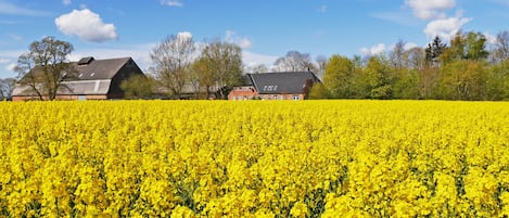 Overnattingsstedets uteområder