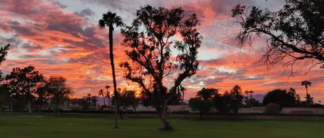 View at sunset from our patio.