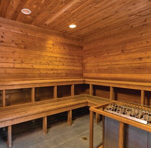 Sauna seca