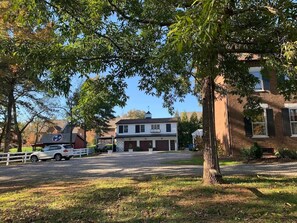 Tree, Tree Trunk, Urban, Building, Neighborhood