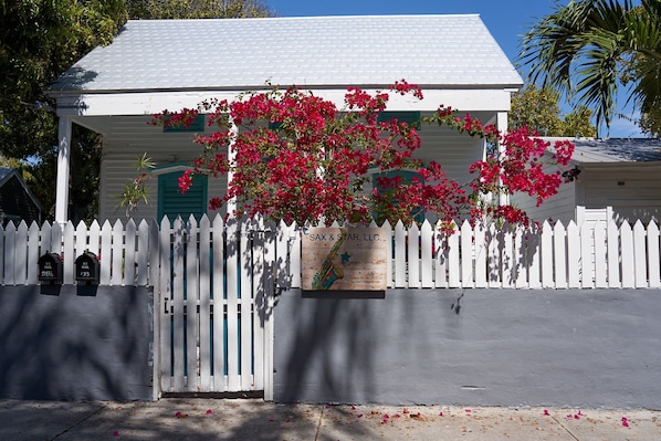 Quiet Conch House