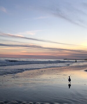 Sunset from beach looking towards Apache Pier