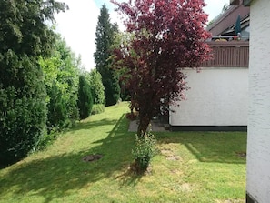 Trädgård [sommar]