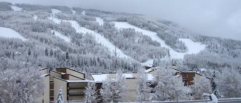 Our building with Vail Mountain behind it