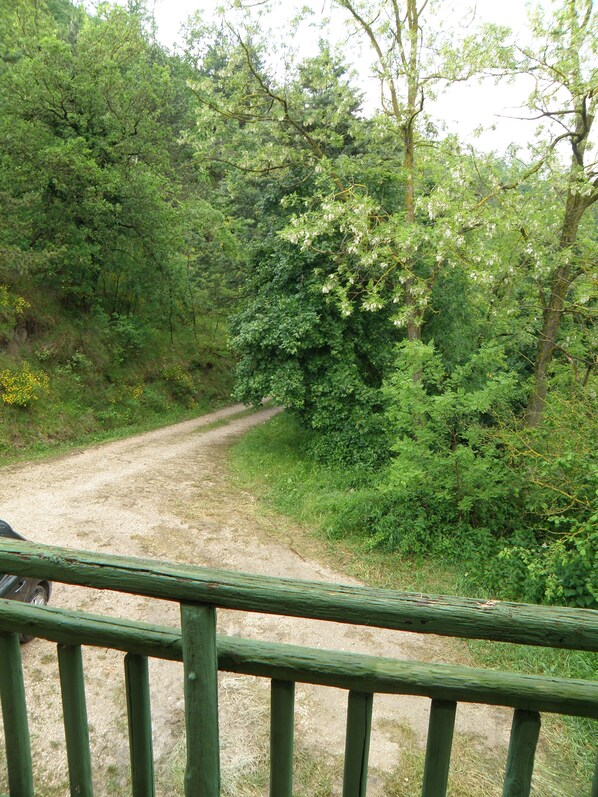 Boendeområde