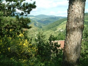 Boendeområde