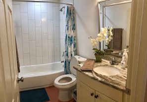 Picture of master bathroom