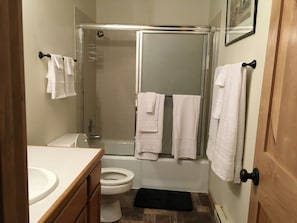 Full bathroom (downstairs)