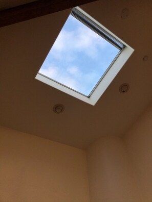 Sky light and vaulted ceilings