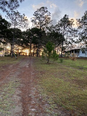 Property grounds