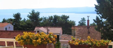 SA1(2): terrace view