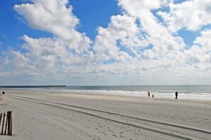 Spend time exploring as you look for seashells and sand dollars.