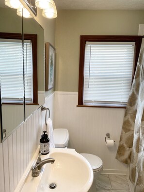 Built-in medicine cabinet and vanity with under-sink storage.