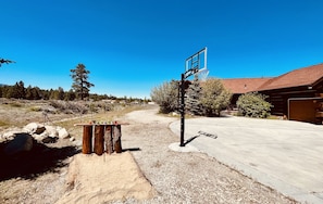 Regulation height basketball court & rustic horseshoe pit bar!
