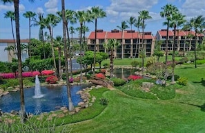 Gorgeous grounds, 15 acres of ponds, waterfalls, fountains, and palms