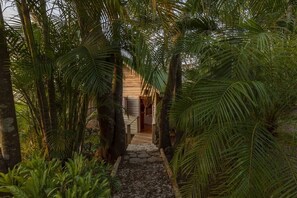The short path through the jungle leading up to Casa Casita