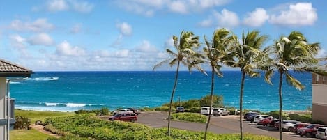 View from Lanai