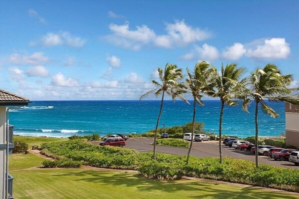 View from Lanai