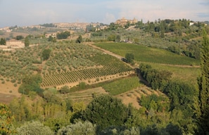 Vue aérienne