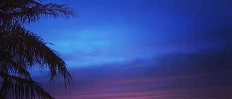 Vue sur la plage/l’océan