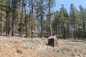 Back of the house and wooded area. 