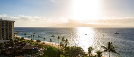 Vue sur la plage/l’océan