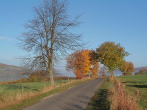 Miscellaneous