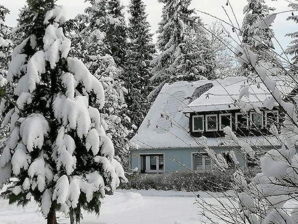 Exteriör