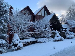 White Christmas 2020. 5" of snow!