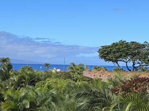 Ocean View From Lanai 