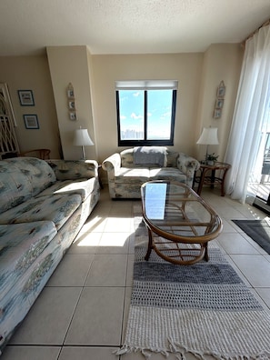 Living Room w/ pull out couch